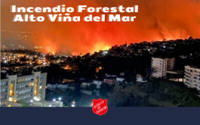 INCENDIO FORESTAL VIÑA DEL MAR