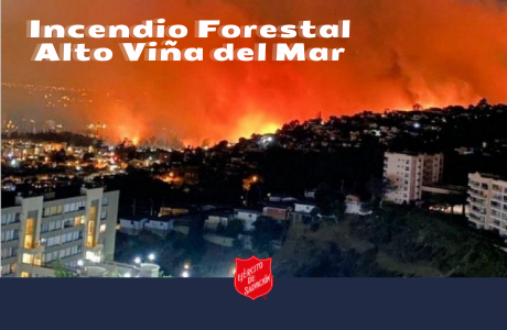 INCENDIO FORESTAL VIÑA DEL MAR